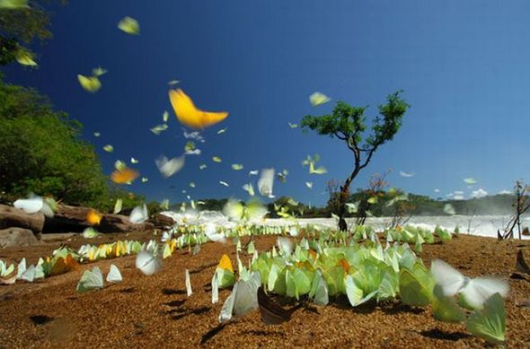 Name:  Best Photography Of The Month (7).jpg
Views: 628
Size:  43.4 KB