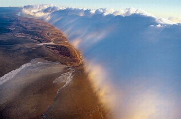 Name:  Best Photography Of The Month.jpg
Views: 571
Size:  26.6 KB