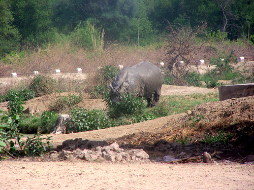 Name:  2530177911_476b61ecb8.jpg
Views: 761
Size:  201.0 KB