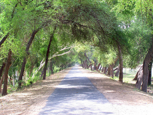 Name:  2526987285_6ef9ecdb42.jpg
Views: 733
Size:  232.4 KB