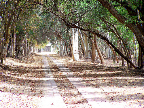 Name:  2527813812_9429ca1556.jpg
Views: 734
Size:  250.2 KB