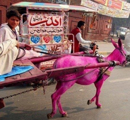 Name:  Some Fun all around the Pakistan (1).jpg
Views: 5817
Size:  62.0 KB