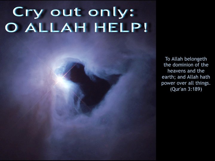 Name:  Allah The Exalted says.jpg
Views: 5906
Size:  46.8 KB