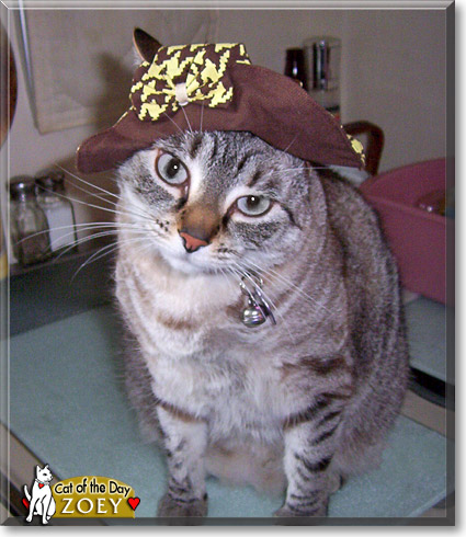 Name:  30.jpg
Views: 299
Size:  74.6 KB