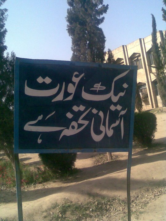 Name:  Naik Orat Asmani Tuhffa hay.jpg
Views: 326
Size:  78.6 KB