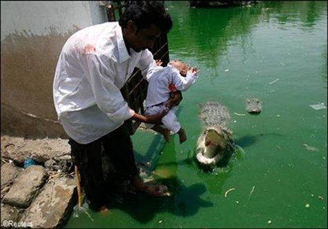 Name:  1.JPG
Views: 983
Size:  29.1 KB