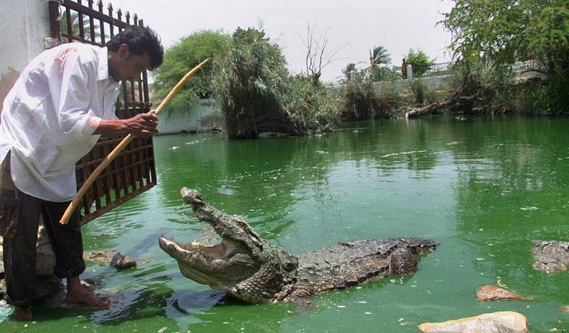 Name:  2.JPG
Views: 850
Size:  108.5 KB