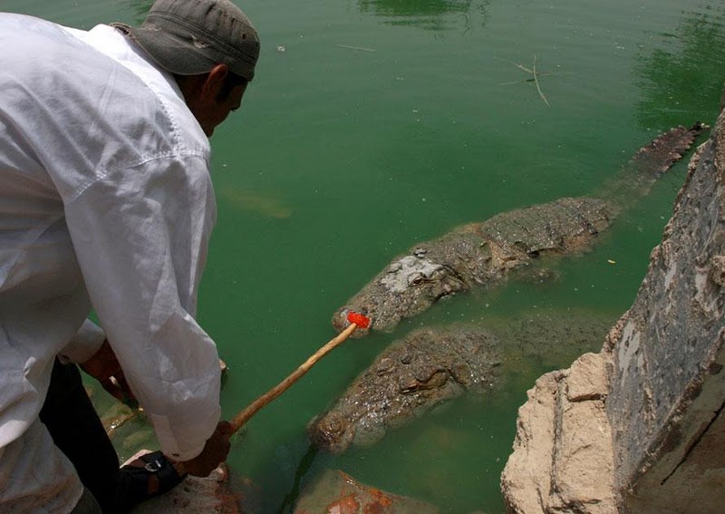 Name:  3.JPG
Views: 721
Size:  79.0 KB