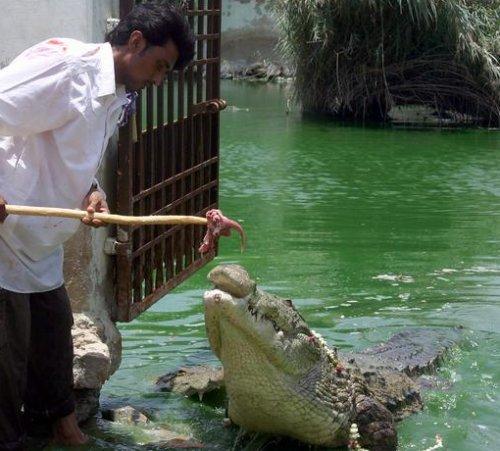 Name:  4.JPG
Views: 688
Size:  45.7 KB