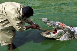 Name:  5.jpg
Views: 1169
Size:  13.0 KB