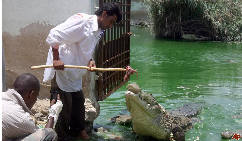 Name:  6.jpg
Views: 753
Size:  76.4 KB