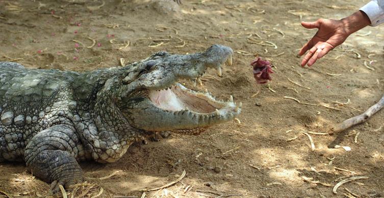 Name:  11.JPG
Views: 944
Size:  73.1 KB