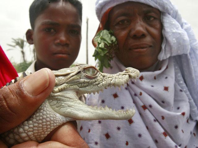 Name:  13.JPG
Views: 1211
Size:  59.6 KB