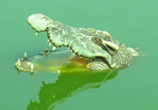 Name:  15.JPG
Views: 581
Size:  30.0 KB