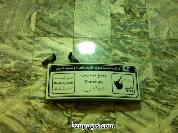 Name:  Hajj Latest Pictures 2010 November (38).jpg
Views: 1240
Size:  67.5 KB