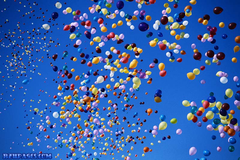 Name:  balloons  Life is too short to wake up with regrets.jpg
Views: 2574
Size:  126.3 KB