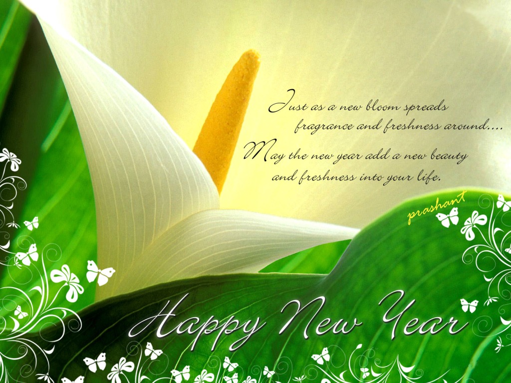 Click image for larger version

Name:	newyear.jpg
Views:	293
Size:	200.7 KB
ID:	21444