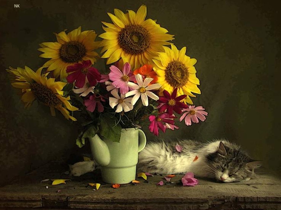 Click image for larger version

Name:	Slide15.jpg
Views:	204
Size:	151.2 KB
ID:	21554