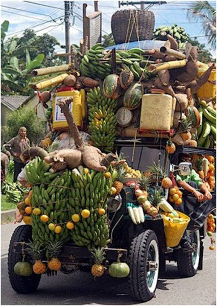 Name:  The Amazing Ways Of Transport (12).jpg
Views: 509
Size:  77.2 KB