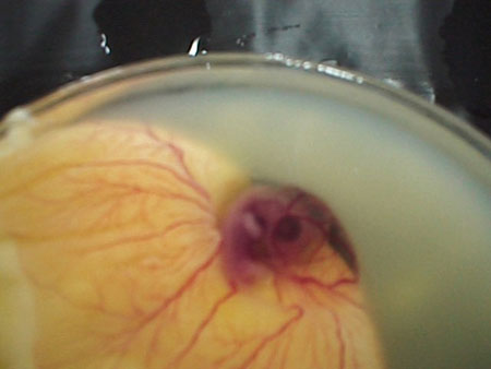 Name:  1221718022.jpg
Views: 432
Size:  19.9 KB