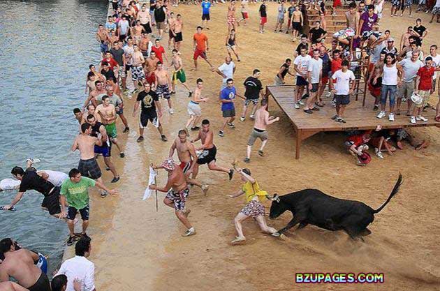 Name:  Spain - Running of the Bulls (11).jpg
Views: 691
Size:  89.3 KB