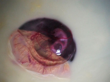 Name:  1221718026.jpg
Views: 474
Size:  17.6 KB