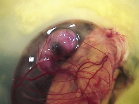 Name:  1221718028.jpg
Views: 470
Size:  25.1 KB