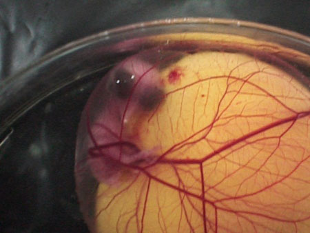 Name:  1221718032.jpg
Views: 426
Size:  30.1 KB