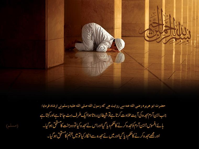 Name:  Sajdah_3.JPG
Views: 44689
Size:  49.0 KB