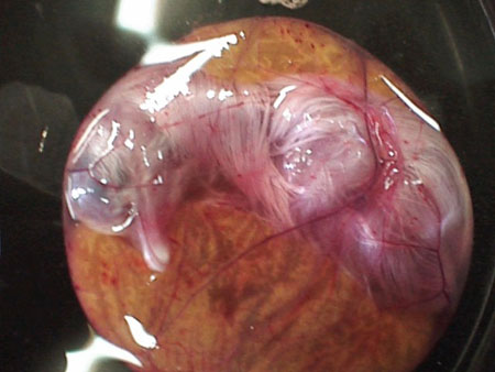 Name:  1221718045.jpg
Views: 434
Size:  31.0 KB