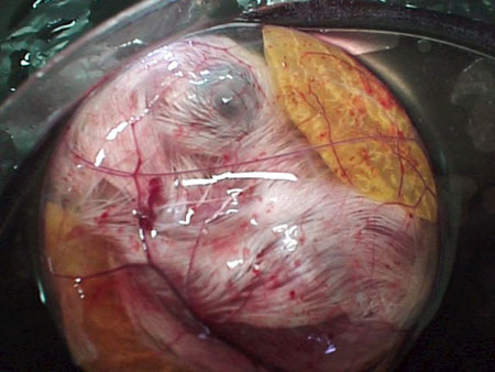 Name:  1221718050.jpg
Views: 449
Size:  35.1 KB