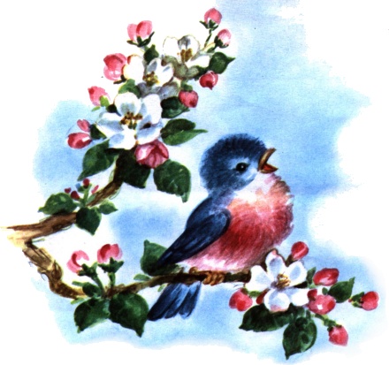 Name:  Bluebird of Friendship .jpg
Views: 892
Size:  72.0 KB