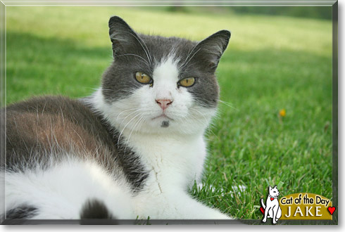 Name:  21.jpg
Views: 988
Size:  48.0 KB