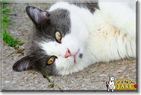 Name:  21b.jpg
Views: 995
Size:  63.2 KB