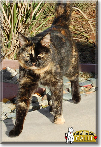 Name:  23.jpg
Views: 932
Size:  77.3 KB