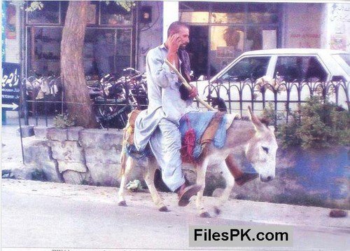 Name:  Only in Pakistan 14.jpg
Views: 654
Size:  61.6 KB