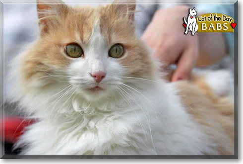Name:  01.jpg
Views: 1033
Size:  40.5 KB