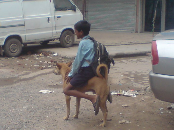 Name:  Petrol Ki Shortge Honay K Wajjay Say.jpg
Views: 843
Size:  66.6 KB