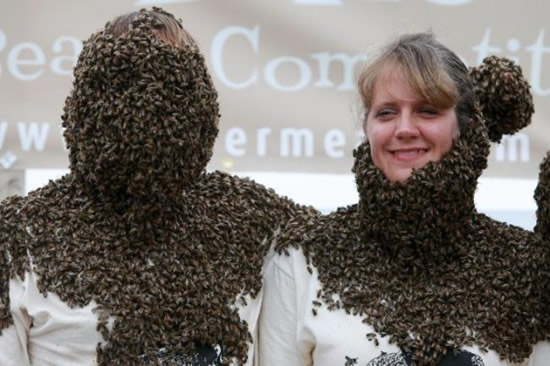 Name:  bee-beard-competition4.jpg
Views: 876
Size:  59.8 KB