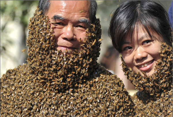 Name:  china workers covered with bees Yang Chuanquan.jpg
Views: 1398
Size:  203.6 KB