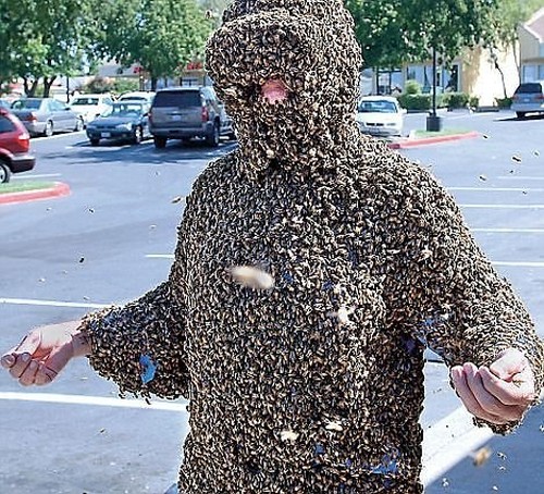 Name:  Crazy-People-Who-Clothe-Themselves-In-Bees-For-Hoots-001.jpg
Views: 1124
Size:  127.1 KB