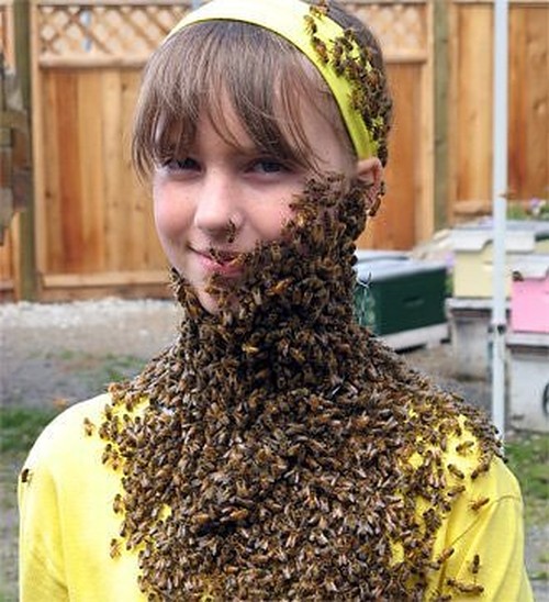 Name:  Crazy-People-Who-Clothe-Themselves-In-Bees-For-Hoots-003.jpg
Views: 1080
Size:  89.5 KB