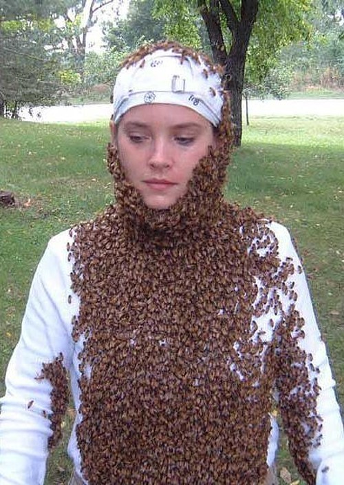 Name:  Crazy-People-Who-Clothe-Themselves-In-Bees-For-Hoots-004.jpg
Views: 1150
Size:  134.9 KB
