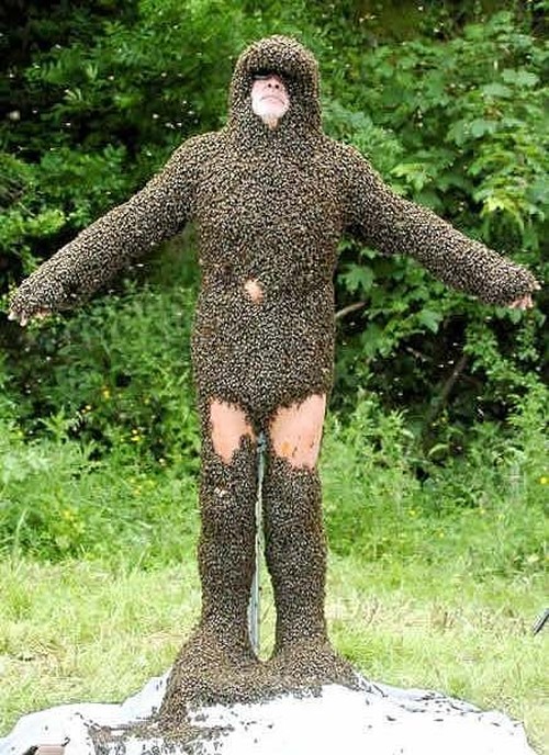 Name:  Crazy-People-Who-Clothe-Themselves-In-Bees-For-Hoots-005.jpg
Views: 861
Size:  151.3 KB