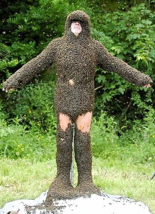 Name:  Crazy-People-Who-Clothe-Themselves-In-Bees-For-Hoots-005.jpg
Views: 897
Size:  151.3 KB