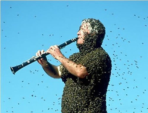 Name:  Crazy-People-Who-Clothe-Themselves-In-Bees-For-Hoots-007.jpg
Views: 923
Size:  43.9 KB