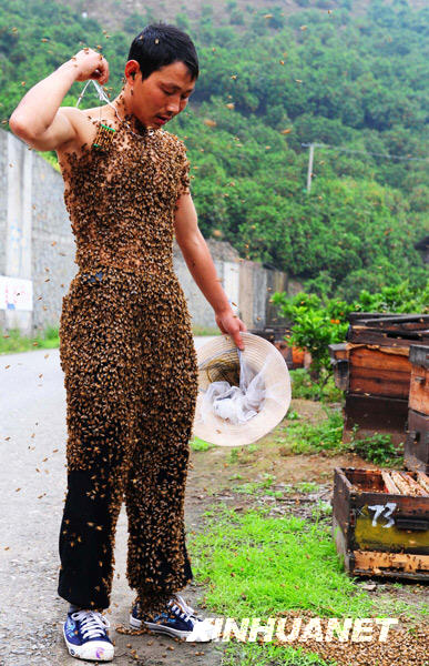 Name:  honeybee2.jpg
Views: 960
Size:  88.9 KB