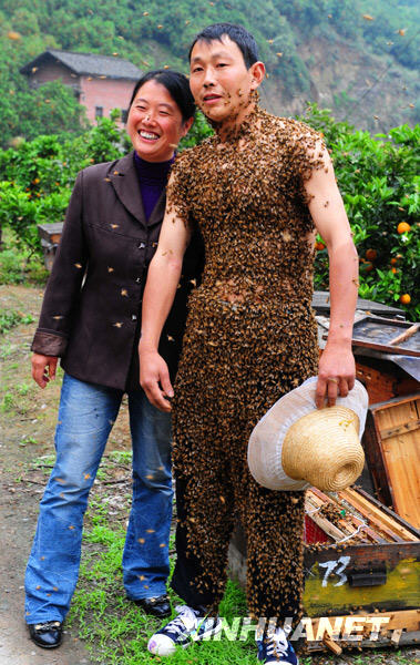 Name:  honeybee3.jpg
Views: 896
Size:  88.2 KB