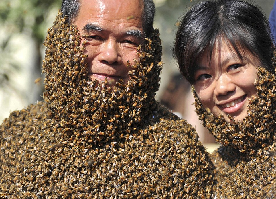 Click image for larger version

Name:	two members of staff smile for the camera as the industrious insects cover their entire bodies.jpg
Views:	325
Size:	334.6 KB
ID:	24614