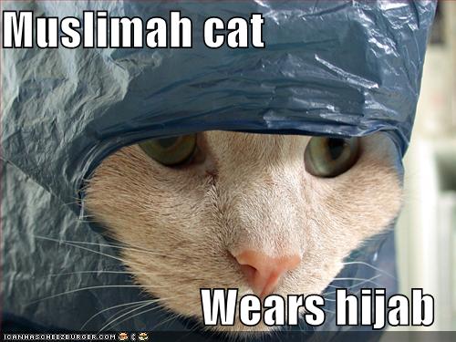 Name:  hijab.jpg
Views: 2550
Size:  41.0 KB